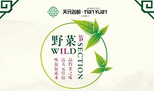 天元國際野菜節(jié)活動豐富多彩等你來